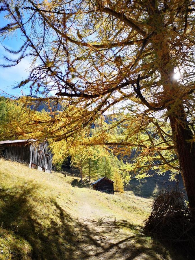 Chalet Le Trient Εξωτερικό φωτογραφία