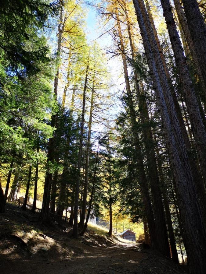 Chalet Le Trient Εξωτερικό φωτογραφία