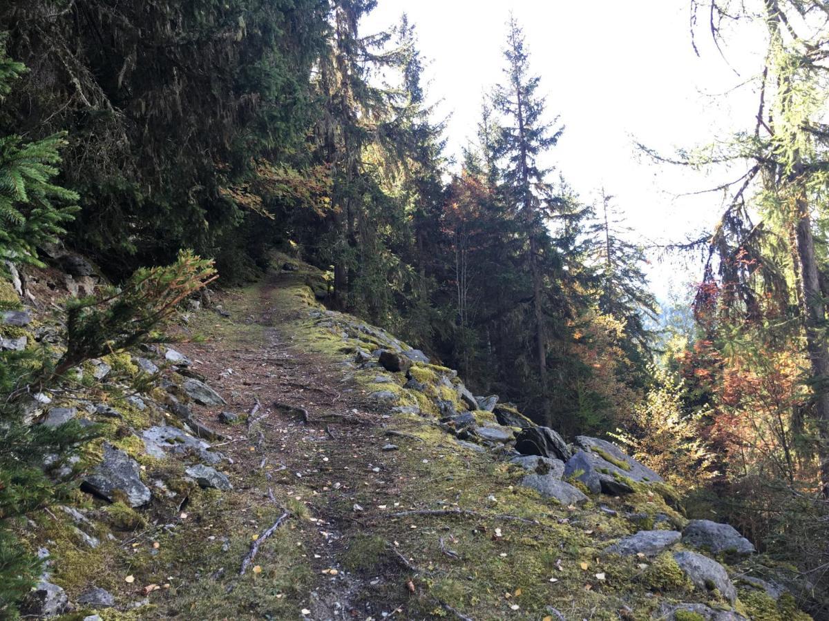 Chalet Le Trient Εξωτερικό φωτογραφία