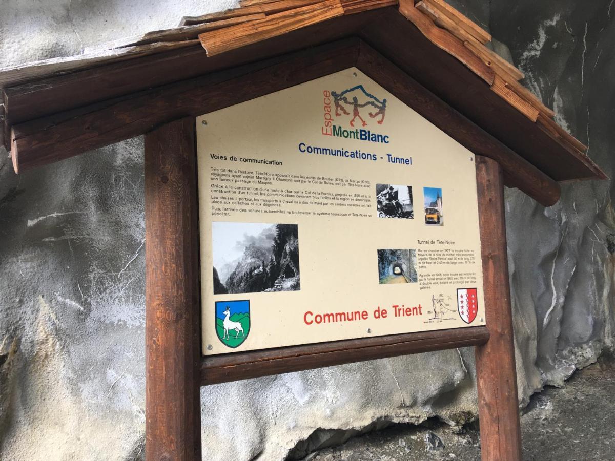Chalet Le Trient Εξωτερικό φωτογραφία